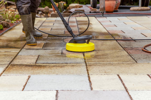 Best Solar Panel Cleaning  in Monroeville, AL